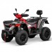 Электроквадроцикл GreenCamel Linhai LH80DA 4x4
