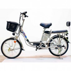 Электровелосипед GreenCamel Trunk-20