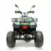 Электроквадроцикл GreenCamel Сахара A3052 Электроквадроцикл GreenCamel Сахара A3052