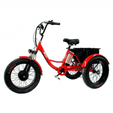 Электровелосипед GreenCamel Трайк-F20